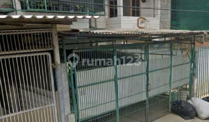 Old House in Cosmos Park