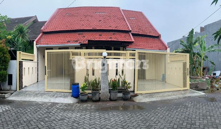 Terracotta House in Rewwin Waru