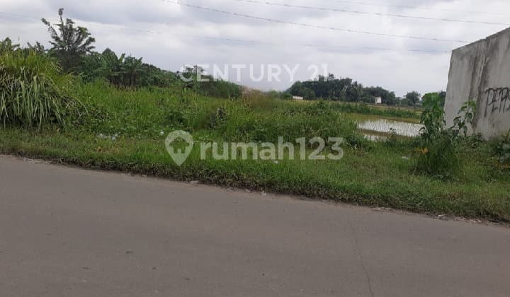 GOOD 6500 M² LAND IN CIBARUSAH AREA