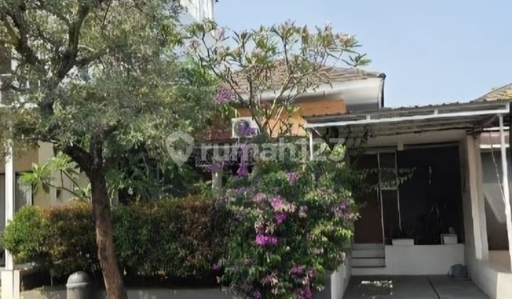 Hot Deal! Rumah Cluster Bagus Siap Huni Ivy Park Citraland Bsb