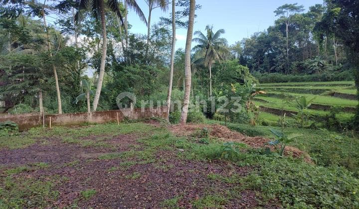 Dijual Cepat Tanah Dengan Pemandangan Gunung Dan Sawahdi Magelang