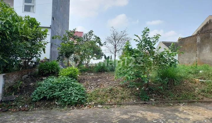 Tanah Murah Jalan Sasando Dekat Umm Tanah Murah Jalan Sasando Dekat Umm