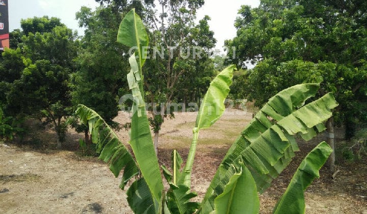 Tanah Luas 2.412 M² Cocok U/Bisnis Dibandara Kuala Namu Medan