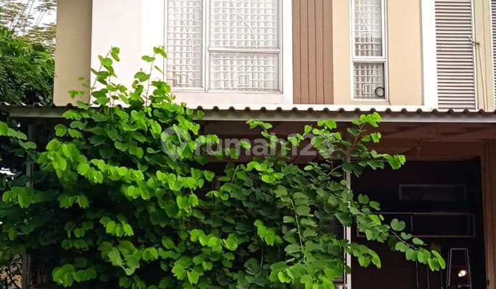 Dijual Cepat Rumah Rapih 2 Lantai di Malibu Village Gading Serpong