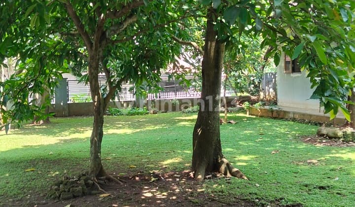 Mega Cinere Harga Mendekati Njop