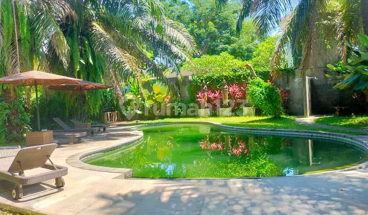 Di Jual Guest House Di Lodtunduh Ubud Gianyar