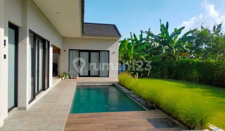 Disewakan Villa Cantik 2 Kamar Di Ketewel