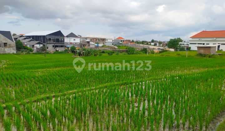 Di Sewakan Tanah Cocok Untuk Villa Di Pererenan Canggu