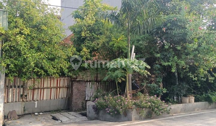 Di Jual Rumah Tua Hitung Tanah Di Kartini, Cocok Untuk Di Bangun Kos-kosan, Ruko, Kantor Dll