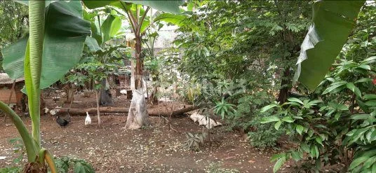 Di Jual Tanah Di Kebayoran Lama, Cocok Untuk Bangun Perumahan Cluster, Mini Apartemen Dll Di Jual Tanah Di Kebayoran Lama, Cocok Untuk Bangun Perumahan Cluster, Mini Apartemen Dll