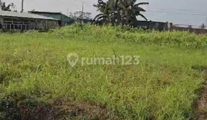 O Disewakan Atau Dikerja samakan Lahan di Pinggir Jalan Dalam Kondisi Terpagar Dekat Pasar Natar di Kawasan Industri