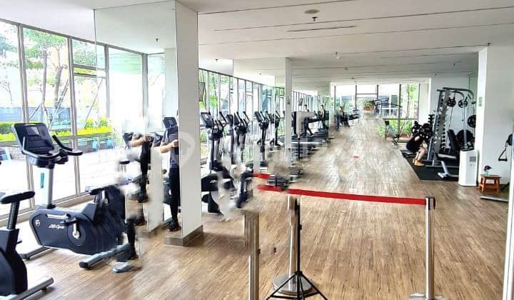 Apartemen Gold Coast 2BR Honolulu View Mangrove Best Price