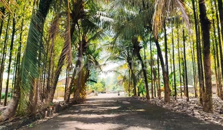 Tanah Murah Siap Bangun Lokasi Strategis Kota Bogor 5.4Hektar