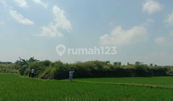 Dijual Tanah Sawah SHM Kebakkramat, Karanganyar (Kode: 059)