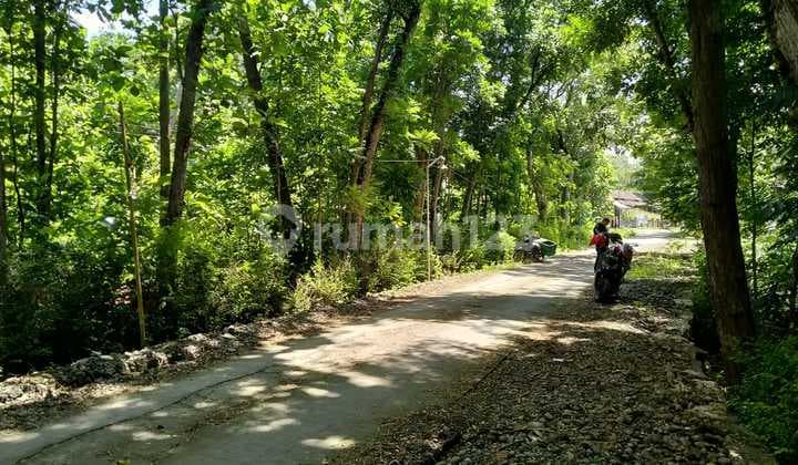 Dijual Lelang Tanah di Lendah Kulon Progo SHM Lengkap