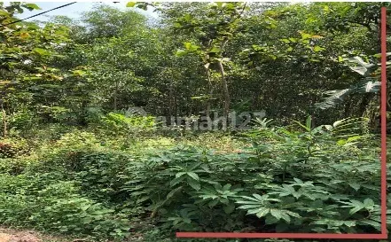 Dijual Lelang Tanah di Sukamukti, Cipicung, Kuningan