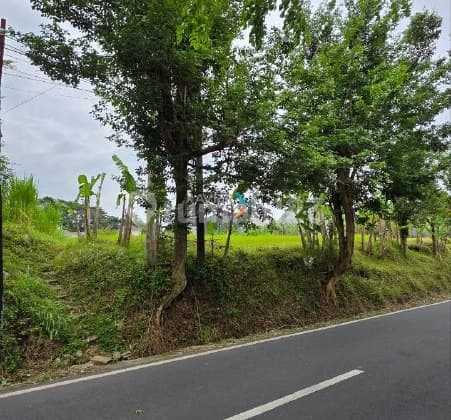 H92 Tanah Luas dan Strategis di Poros Jalan Dieng Atas, Malang