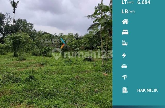 H6 Dijual Tanah di Desa Kasembon, Bululawang Malang