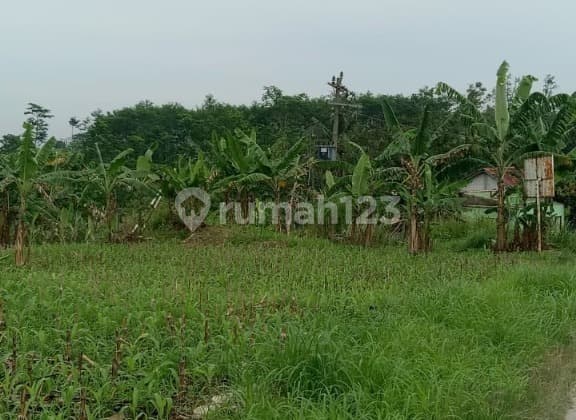 Lahan Strategis Eksklusif Luas Siap Pakai di Tegal