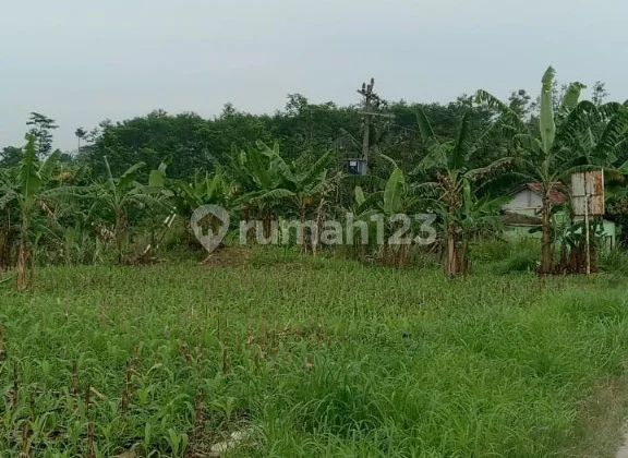 Lahan Strategis Eksklusif Luas Siap Pakai di Tegal