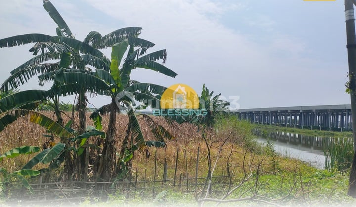 Dijual Lahan Murah Dekat Tol Demak Bebas Banjir