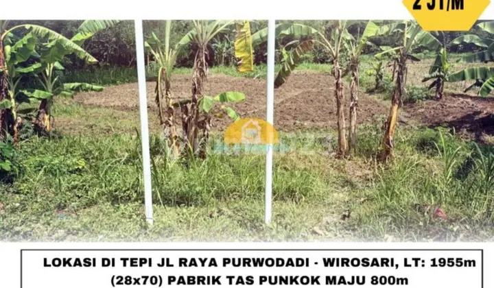 Dijual Tanah Strategis di Purwodadi