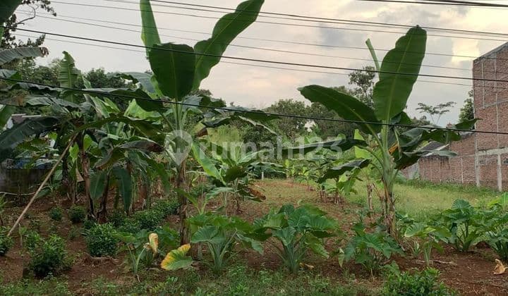 For Sale Land in Gunung Pati 405 m² West Facing, SHM strategic location suitable for business or lodging.