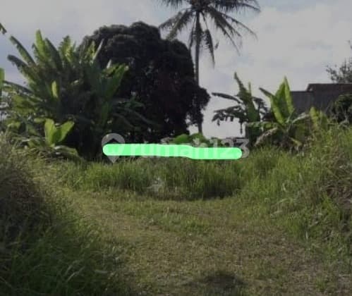 Tanah Startegis Siap Pakai Usaha Akses Jalan Protokol Salatiga