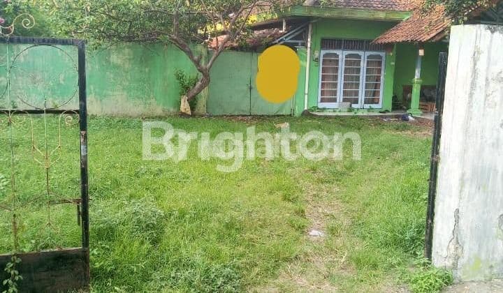 TANAH COCOK UNTUK DIBANGUN PERUMAHAN DI BELAKANG LUWES GENTAN