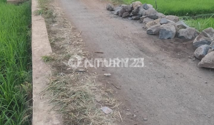 JUAL CEPAT TANAH KEBUN DAN SAWAH DAERAH CIANJUR