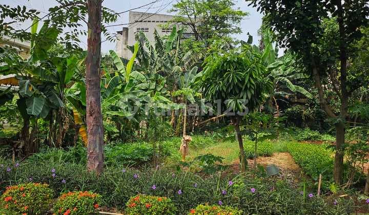 Plot Sizes 151 Body, 159 Body, and 171 Hook Front Location