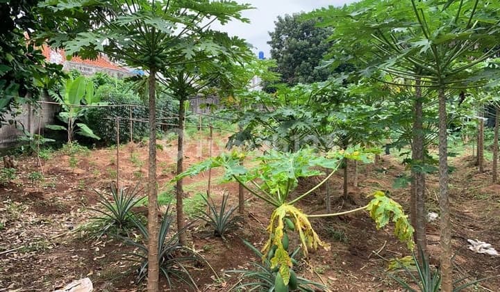 Tanah Berlokasi Strategis dengan Akses Mudah Di Jalan Cinere Raya
