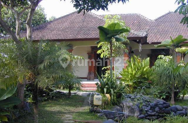 Nice And Beautiful Balinese House With 4 Buildings And Spacious Area