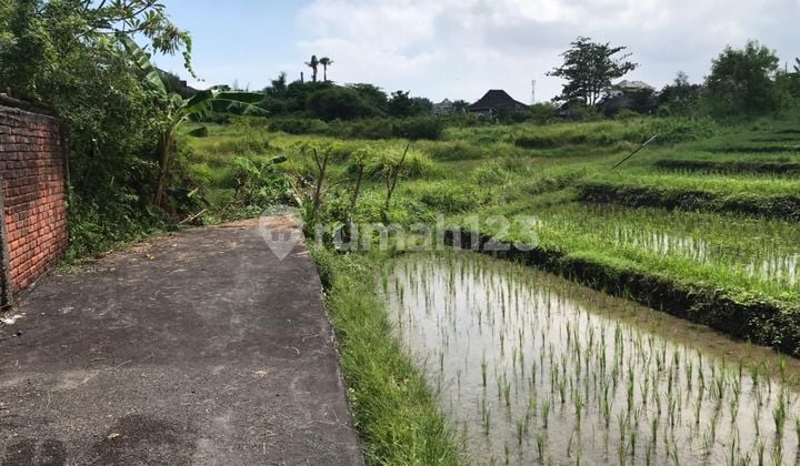 Dijual Tanah 21 Are Umalas Kauh Kerobokan Kuta Utara