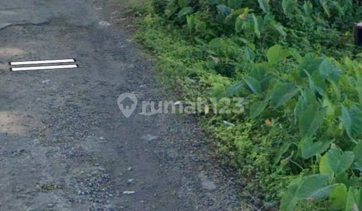 Dijual Tanah 7,85 Are Jln.taman Sari Kerobokan Badung-Bali