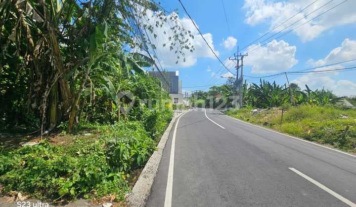 For Sale 2.5 Are Land on Tumbak Bayuh Street, Pererenan