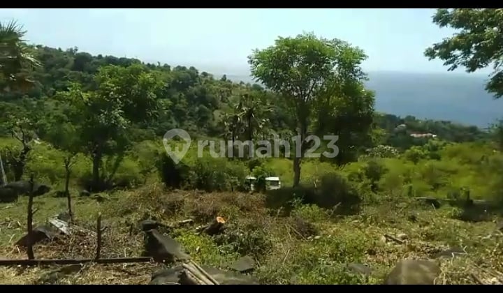 Dijual Tanah 14,75 Are Sea View Amed Karangasem