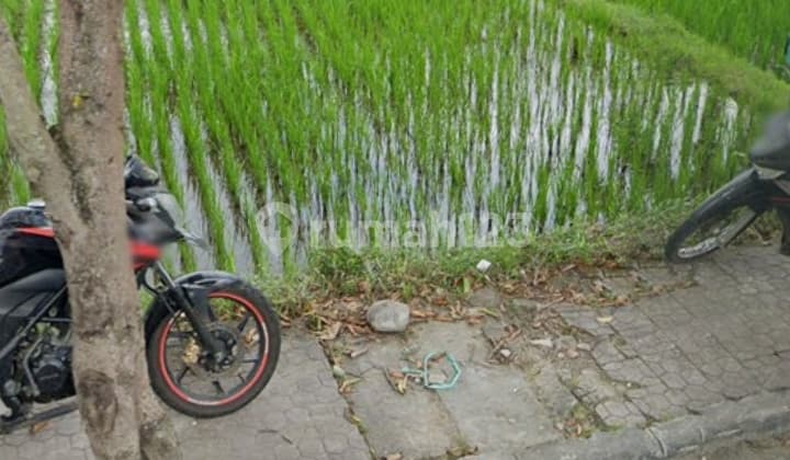 Dijual tanah 100,3 are jalan raya mas ubud