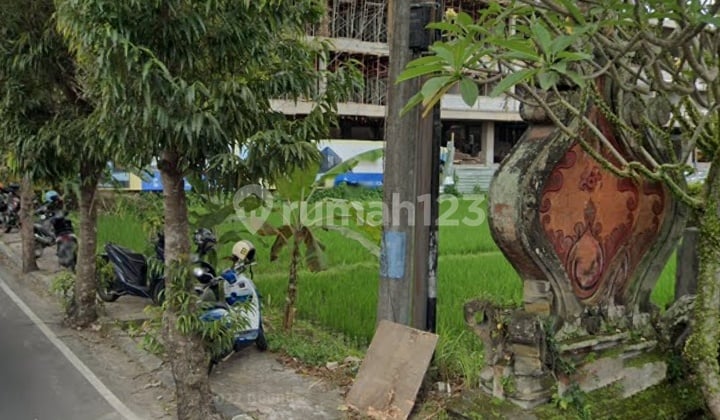Dijual Tanah 100,3 Are Jalan Raya Mas Ubud Gianyar - Bali