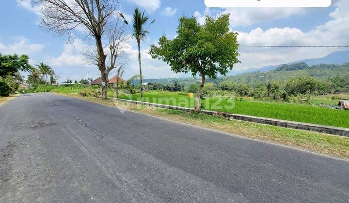 For Sale Land 76.85 Acres Mountain and Rice Field View Near Tukad Bangkung Bridge Evening