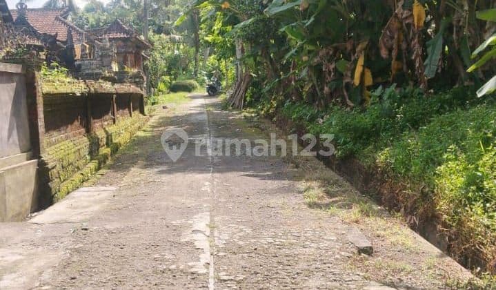 Disewakan Tanah 19,8 Are Ubud Ds Sembuwuk
