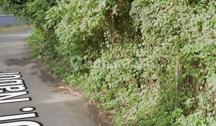 For Sale Land 2 Hectares 9.6 Ares (209.6 ares) Pecatu Uluwatu