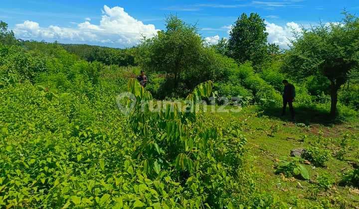 Dijual Tanah Area Gading Kencana Jimbaran