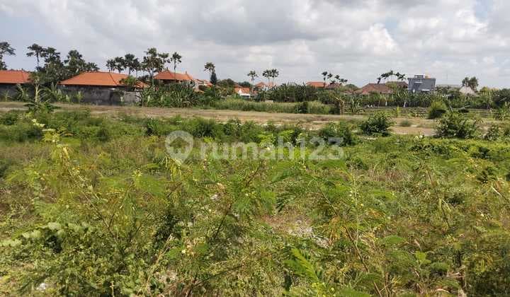 Dijual Tanah 39,65 Are Cendrawasih Petitenget