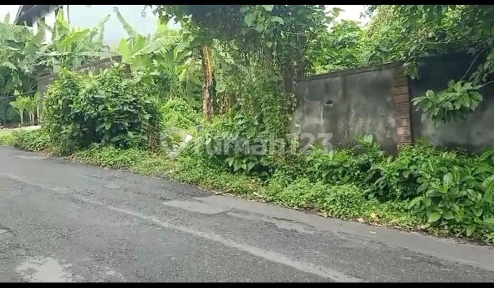 For Sale Land 7.88 Are Gunung Catur Iv Denpasar