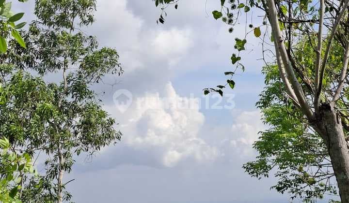 Dijual Tanah 20 Are View Jalan Ocean Blue Benoa Kuta Selatan