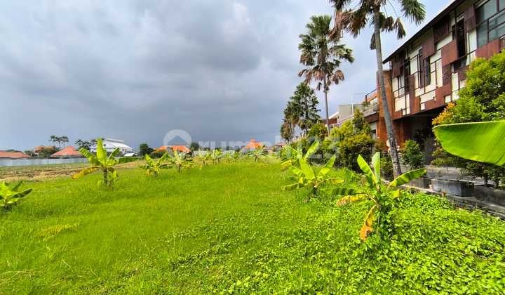 For Sale Land 29.6 Ares Batubelig