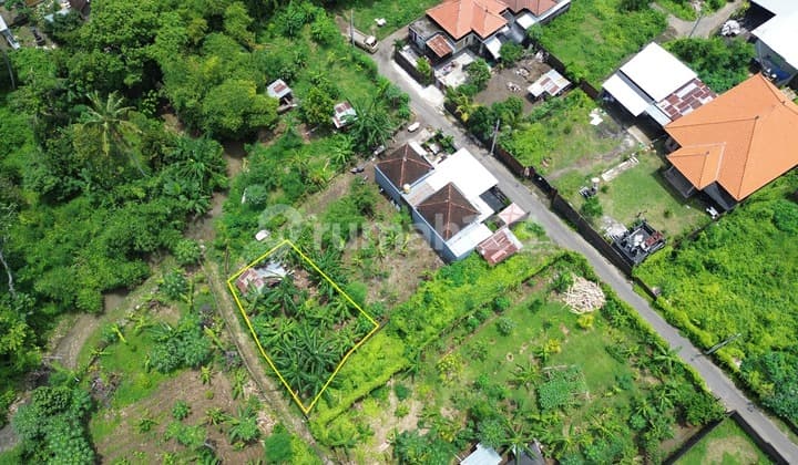 Dijual Tanah 202m2 Dekat Kampus Undiksa Jinengdalem Buleleng