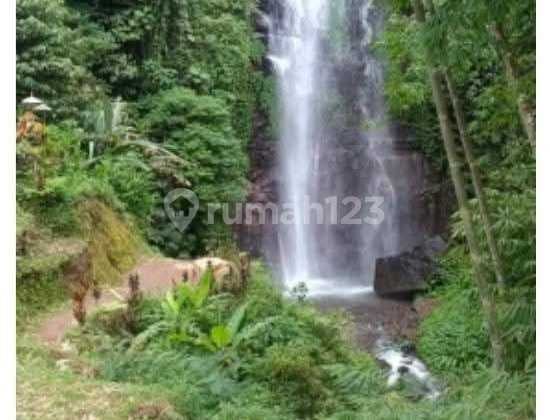 For Sale Land 20h (2000 are) Munduk Banjar Buleleng