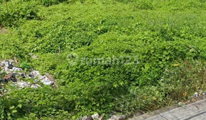 For Rent: 50 Are Land Near Canggu Fishermen's Beach